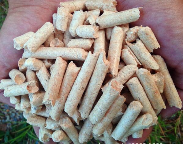 木屑顆粒機(jī)價格,木屑顆粒燃料