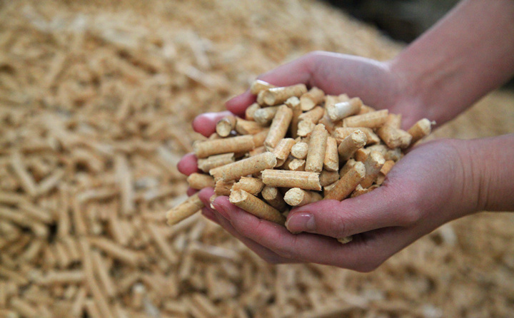 木屑顆粒機生物質(zhì)顆粒燃料 木屑顆粒機生物質(zhì)顆粒燃料