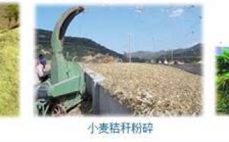 農(nóng)民科學(xué)發(fā)展新思路，秸稈綜合利用成為賺錢(qián)好門(mén)路之秸稈顆粒機(jī)