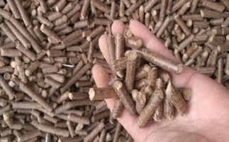 鋸末顆粒機生物質燃料與燃煤對比情況如何？