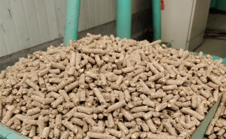 在燃燒時，水分大的生物質(zhì)顆粒會出現(xiàn)哪些問題？