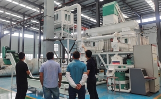 木屑制粒機(jī)粉塵大？看這里，有解決方案