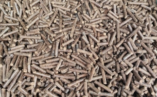 鋸末顆粒機(jī)加工的顆粒燃料價(jià)格主要受哪幾個(gè)方面的影響？