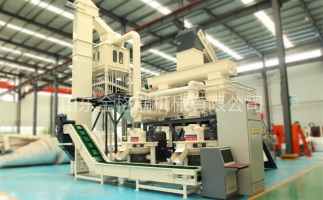 辦木屑顆粒燃料廠需要準備哪些工作？山東顆粒機廠家和您說說