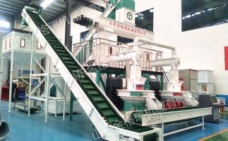 2023年木屑顆粒機生產(chǎn)生物質(zhì)燃料顆粒行情、利潤怎么樣，投資多少大約？