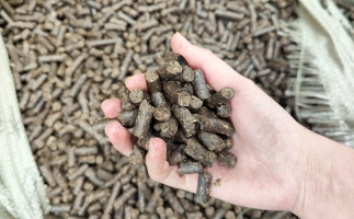 木屑顆粒機(jī)將秸稈變廢為寶，降碳節(jié)能一舉兩得