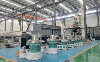 都說用木屑顆粒機做生物質(zhì)顆粒是騙局，真的是這樣嗎？