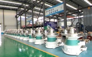 新手開顆粒廠，該選小型還是大型木屑顆粒機(jī)？